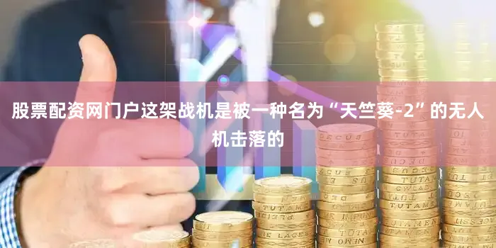 股票配资网门户这架战机是被一种名为“天竺葵-2”的无人机击落的